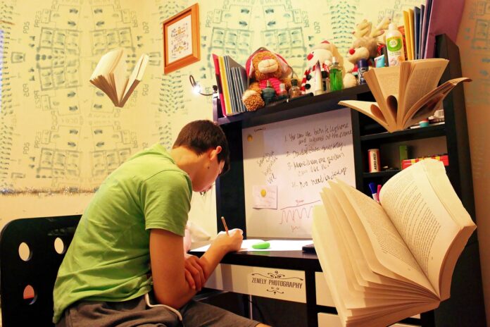 Best revision strategies for CBSE Class X students during board exams (completed)