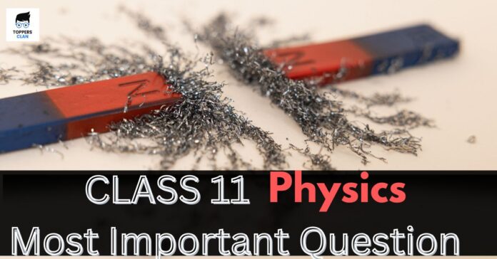 Class 11 Physics Most Important Questions